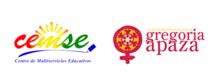 Centro de Multiservicios Educativos (CEMSE) y Centro de Promoción de la Mujer Gregoria Apaza (CPMGA)